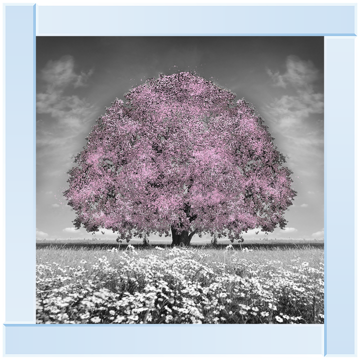 LS275 Pink Oak Tree