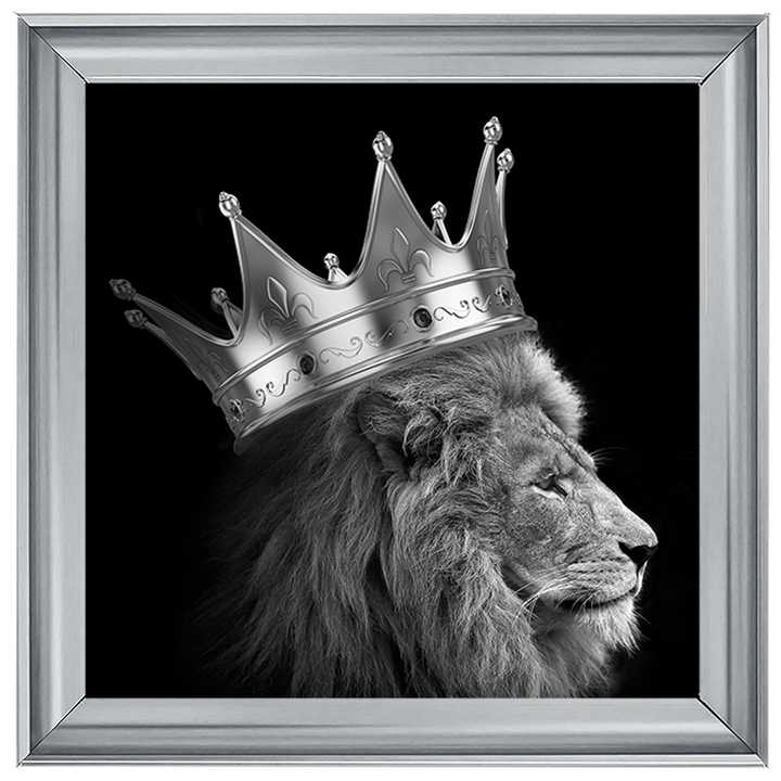AN298 King Lion Silver
