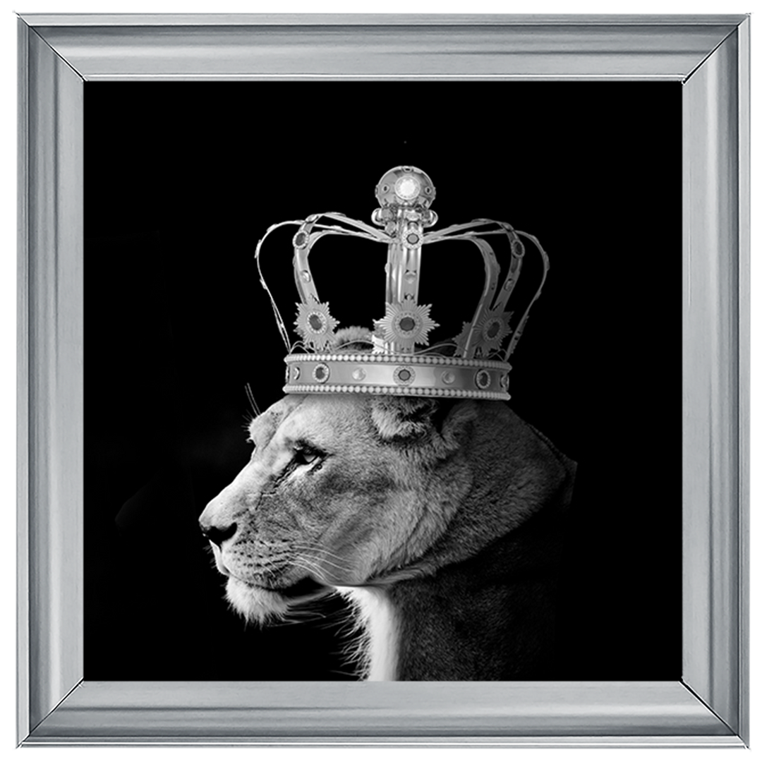 Queen Lion Silver