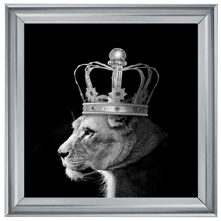 Queen Lion Silver