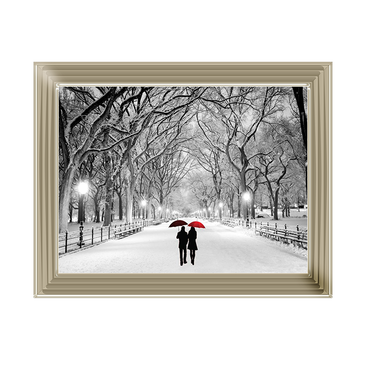Walk through the snowy park