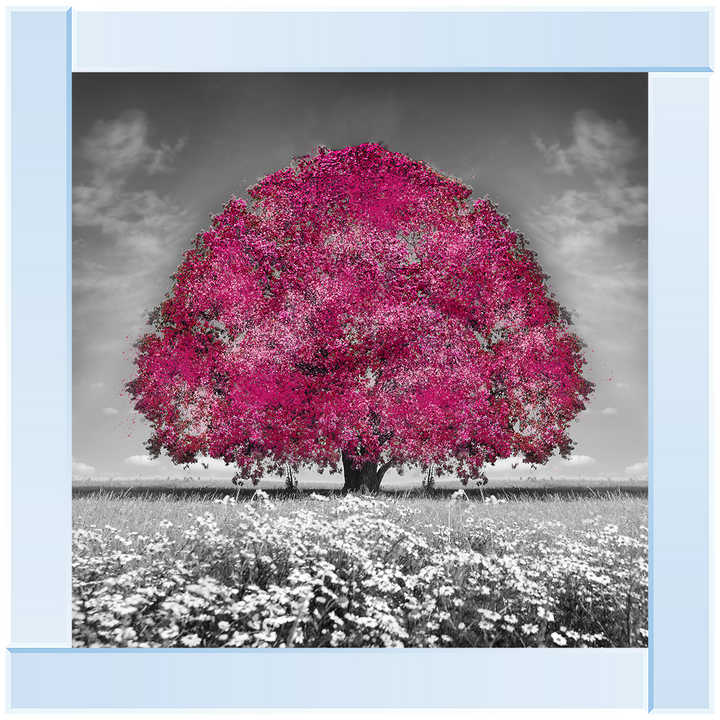 LS272 Pink Oak Tree
