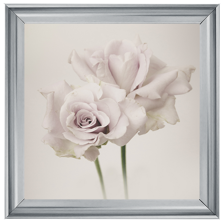 FL188 Flower Love