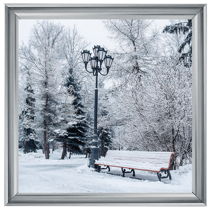 Winter Park