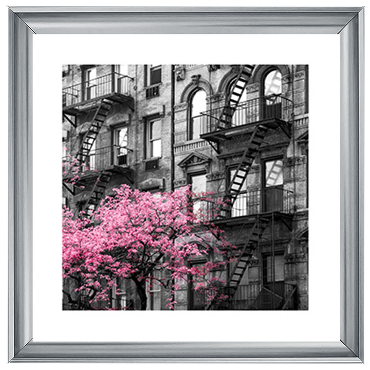 Pink City