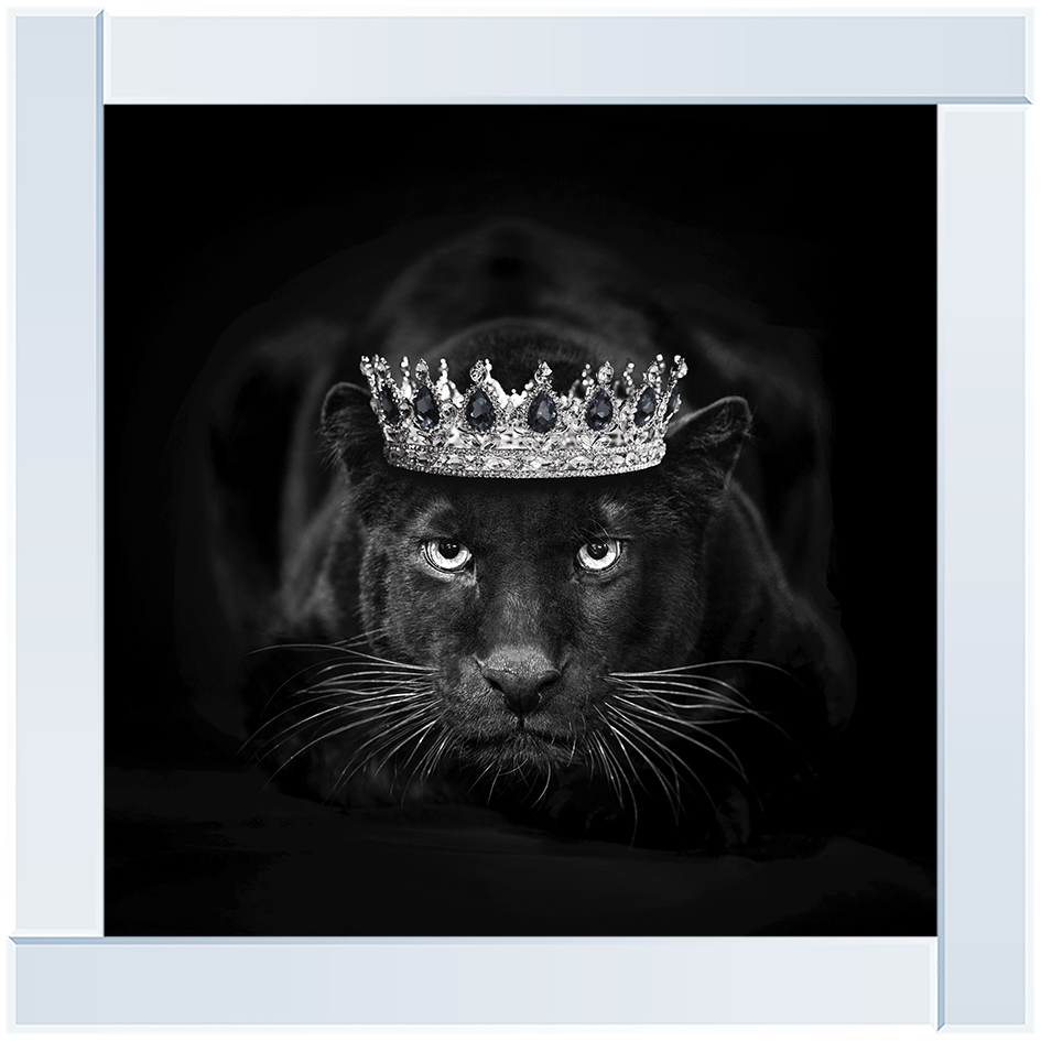 Royal Jaguar