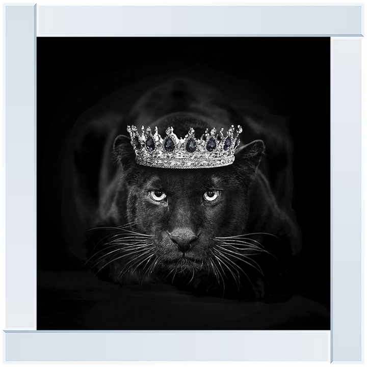 Royal Jaguar