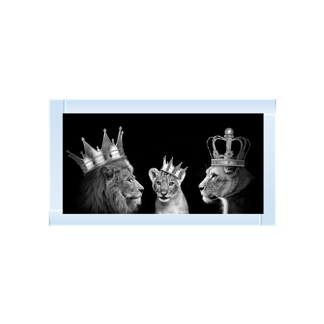 Lion trio family (Silver Crowns)