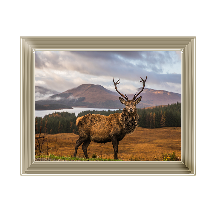 AN066 Highland Stag
