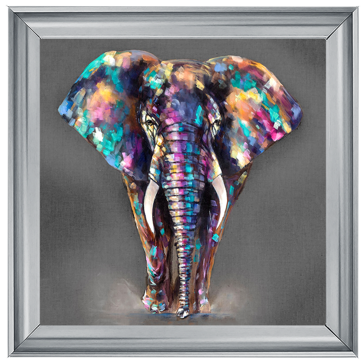 AN340 Colourful Elephant