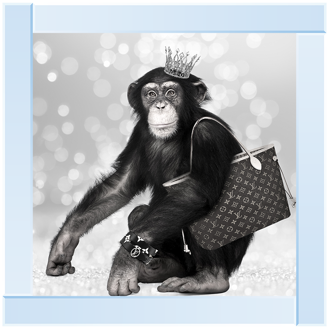 AN151 Designer Monkey