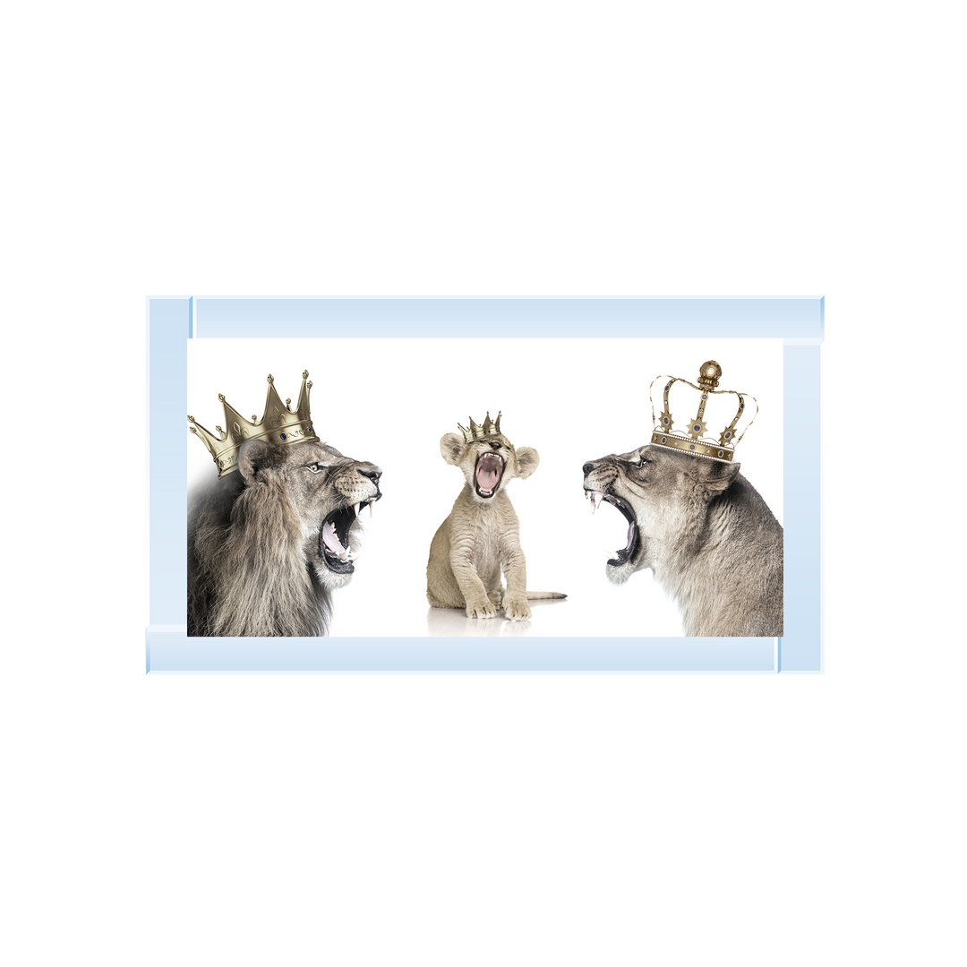Roaring lion trio family
