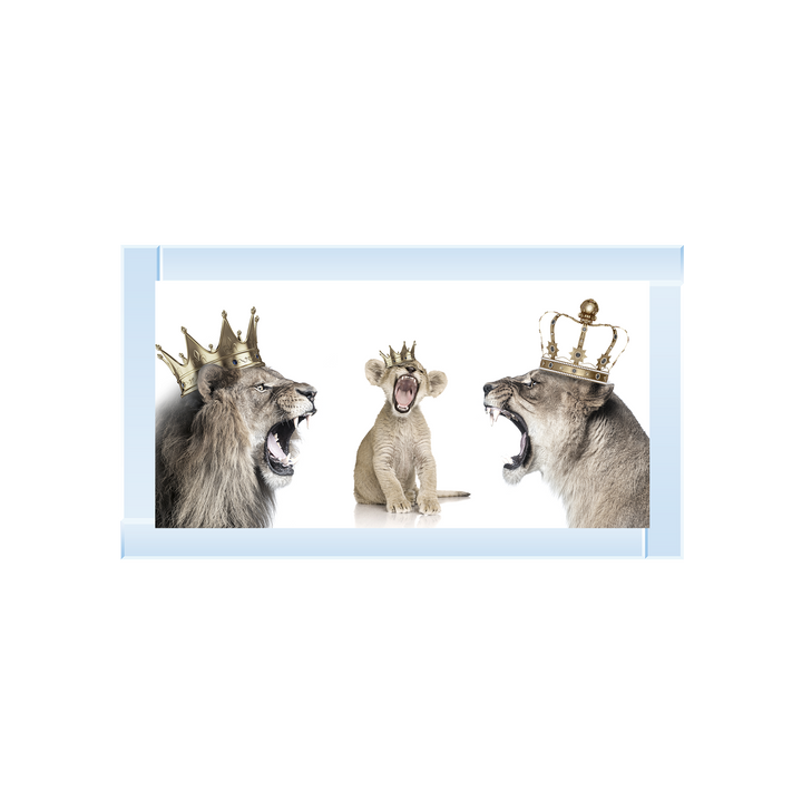 Roaring lion trio family