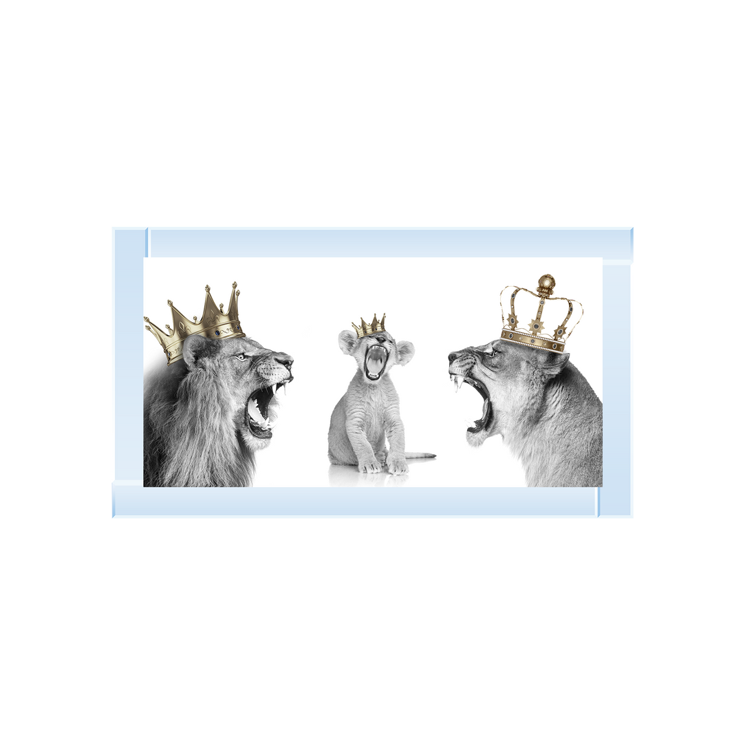 Roaring Lion Family of 3
