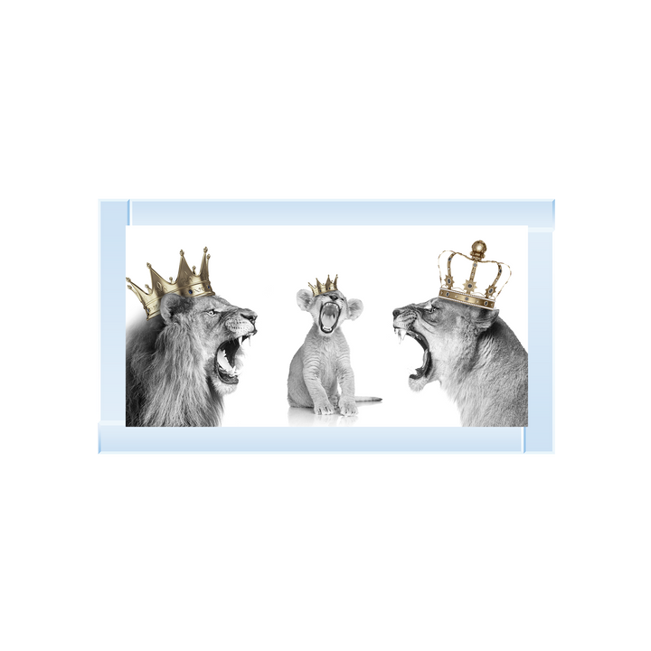 Roaring Lion Family of 3