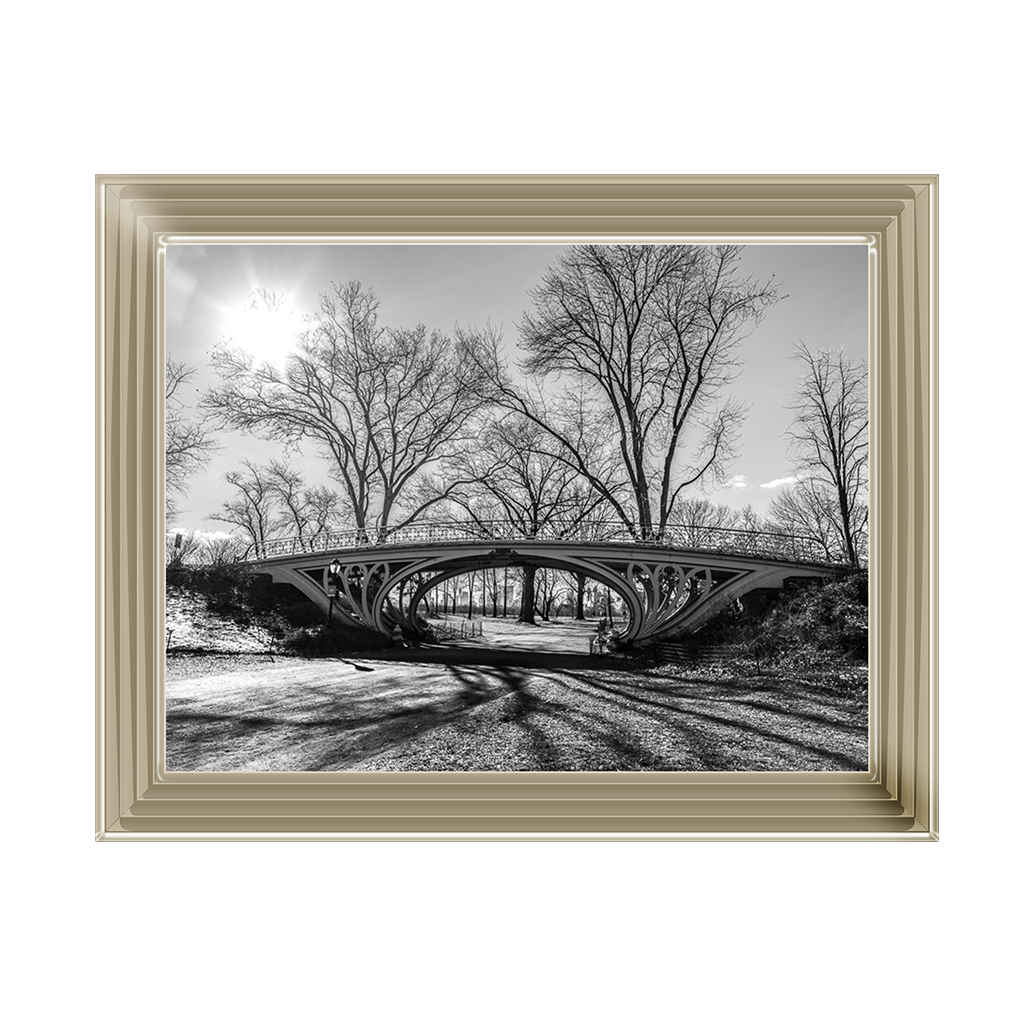 Walkway bridge in Central park, New York