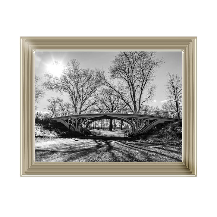 Walkway bridge in Central park, New York