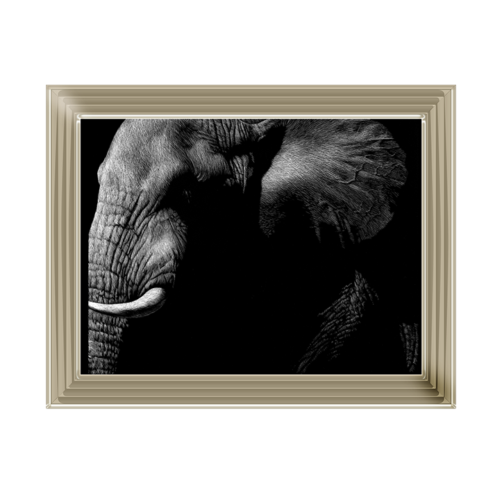 AN026 Wildlife Scratchboards III