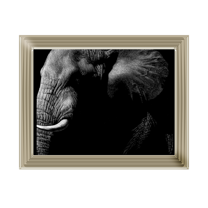 AN026 Wildlife Scratchboards III