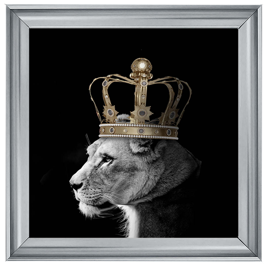 Queen Lion Gold