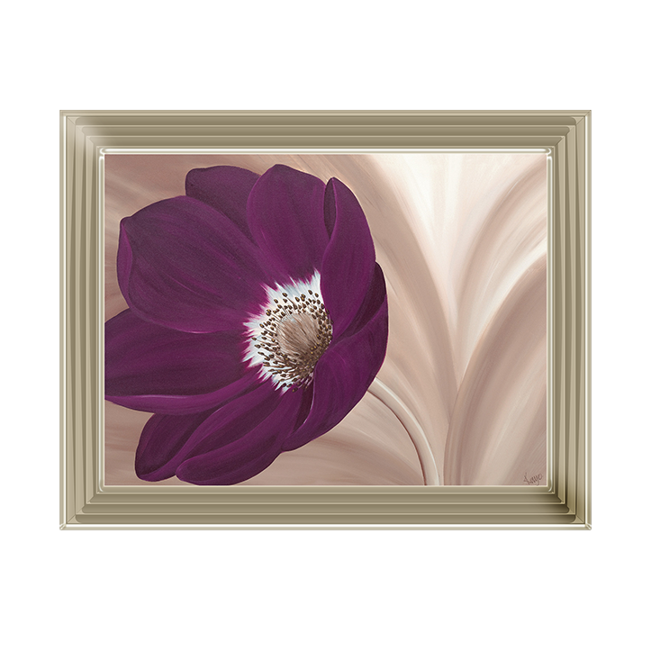 Velvet Anemone