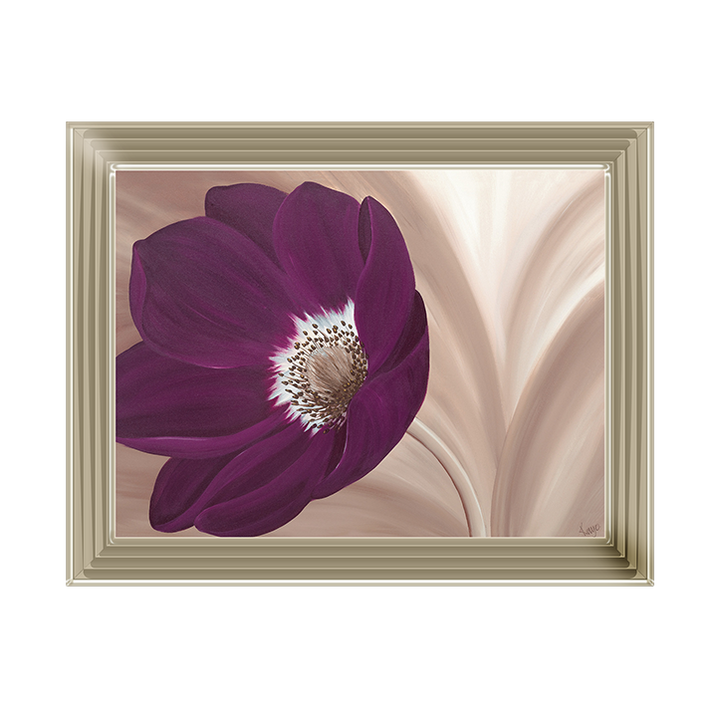 Velvet Anemone