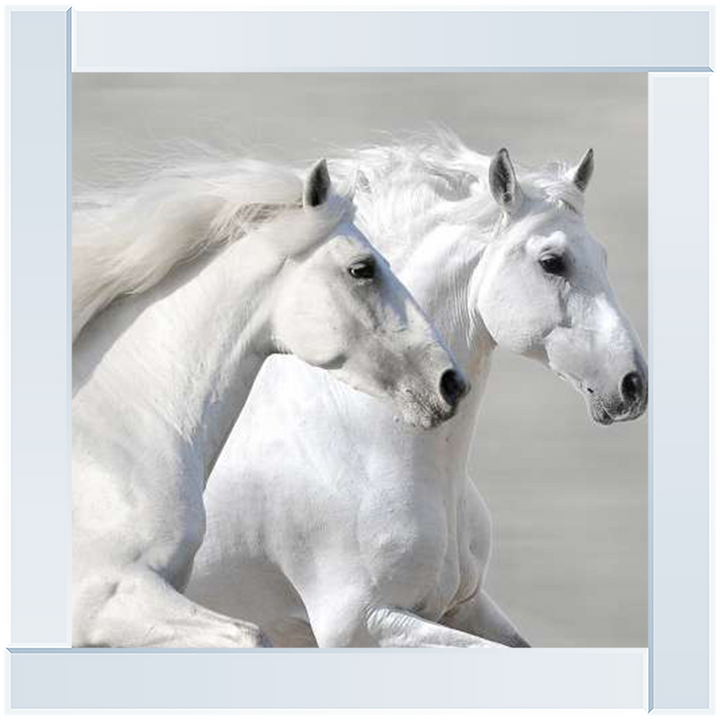 AN249 Winter Gallop (detail) by Makarova