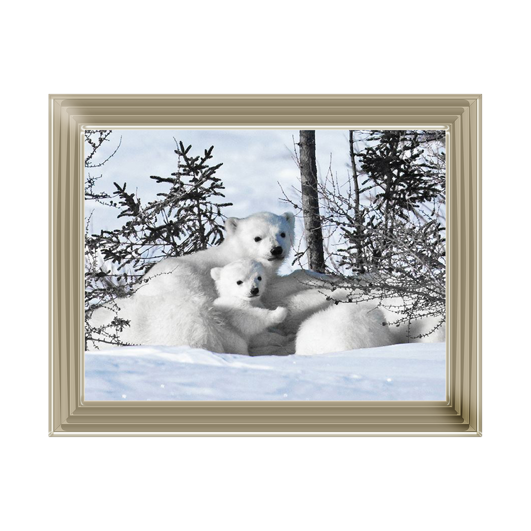 Winter Cubs