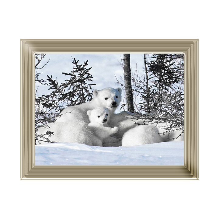Winter Cubs
