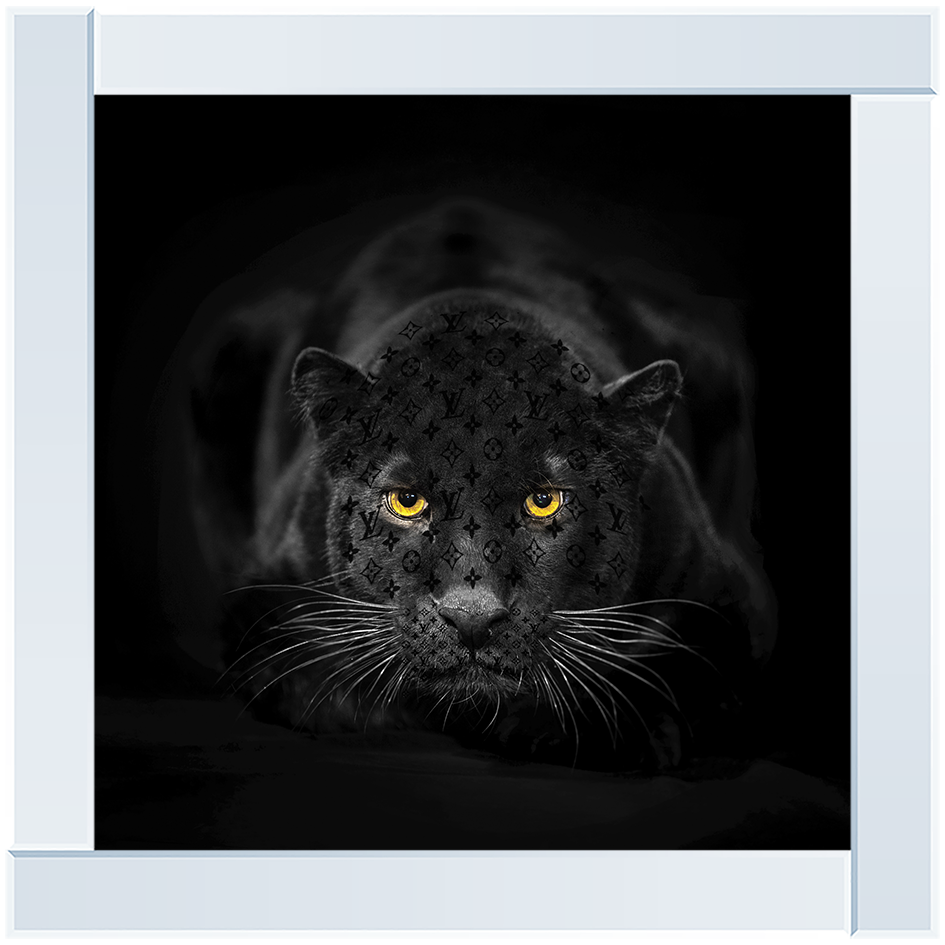 AN259 Black Jaguar