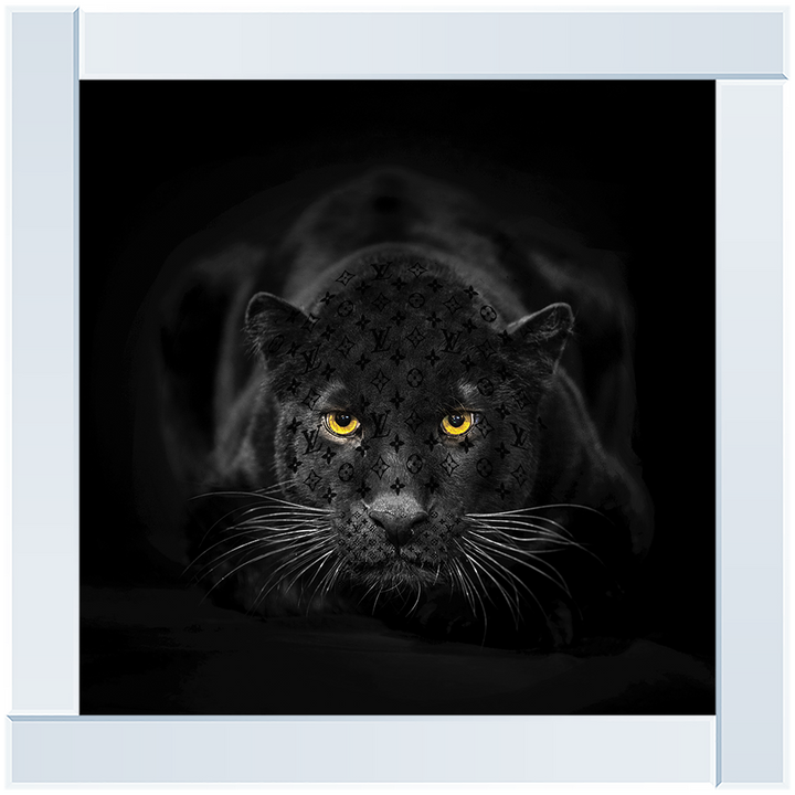 AN259 Black Jaguar