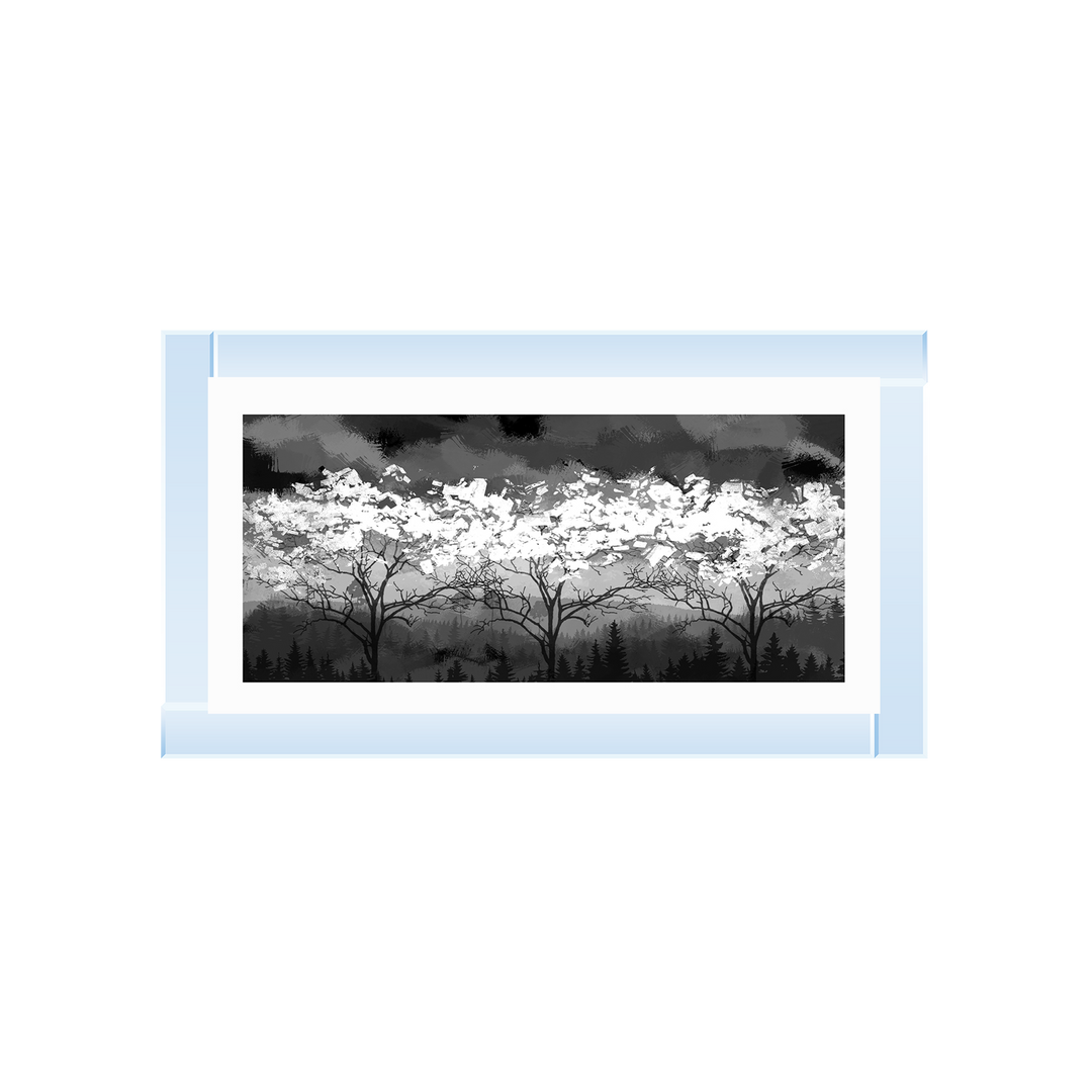 LS200 Black and white forest
