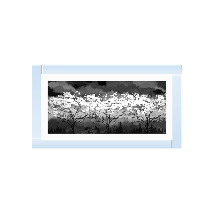 LS200 Black and white forest