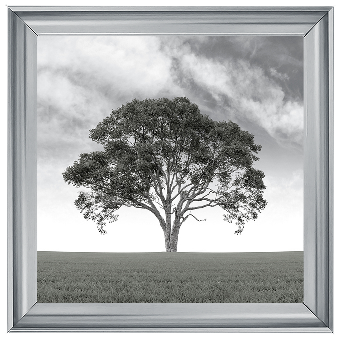LS190 Lone Tree 1