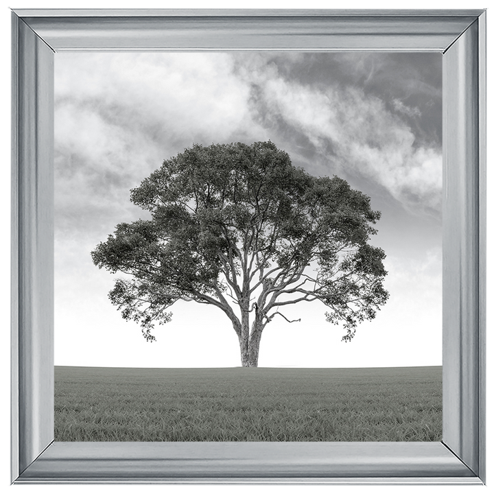 LS190 Lone Tree 1