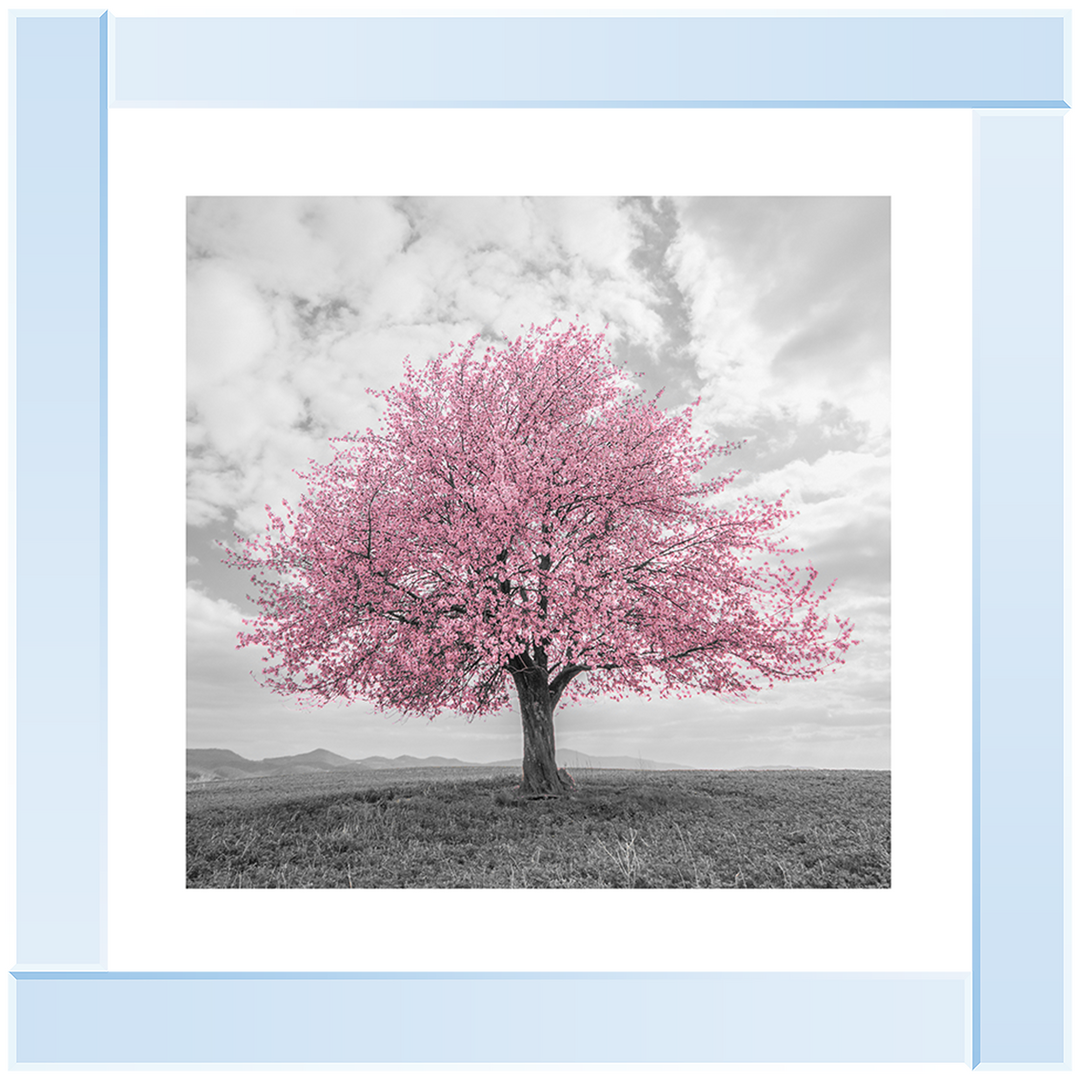 LS123 Pink Lone Tree