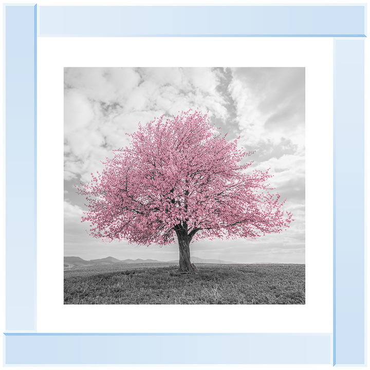 LS123 Pink Lone Tree
