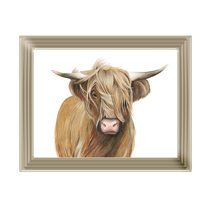 Highland Cattle I