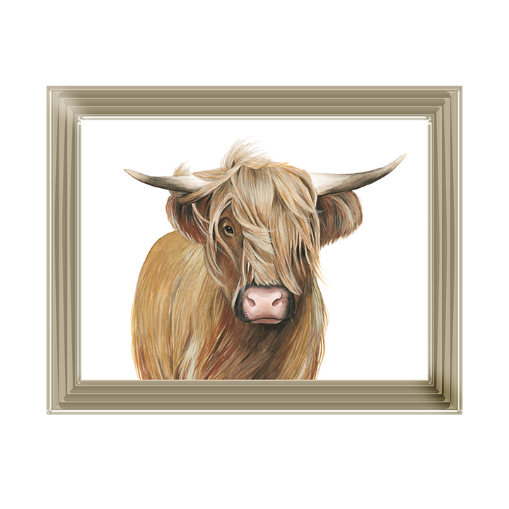 Highland Cattle I