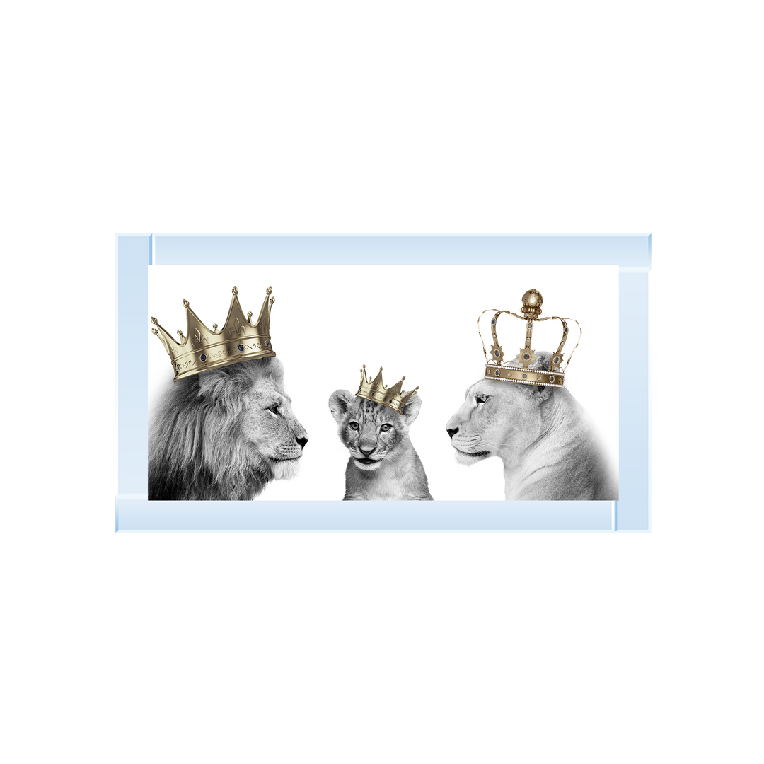 Lion Family of 3