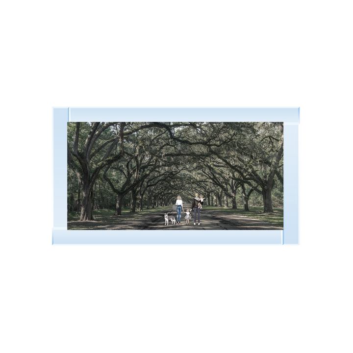 Family Walk 4