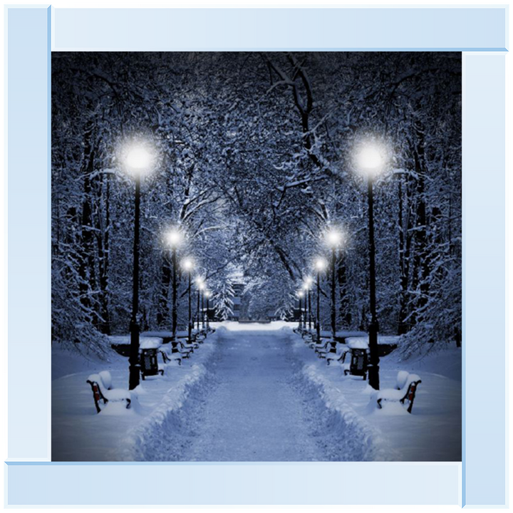 LS068 Wintery Park