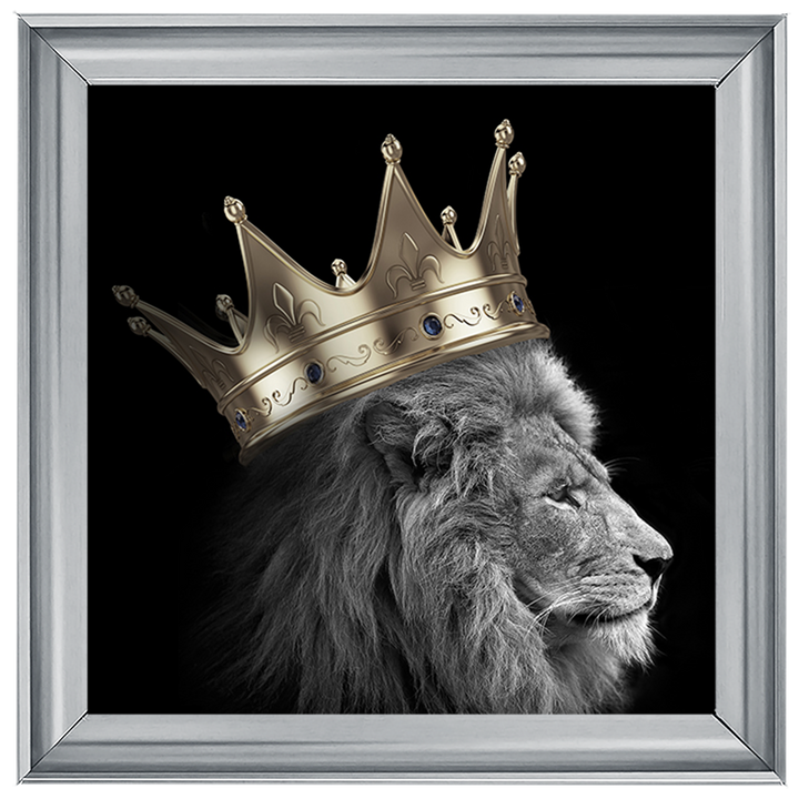 AN297 King Lion Gold