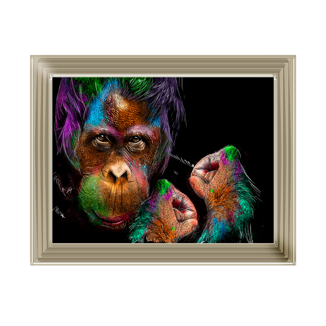 Orangutan