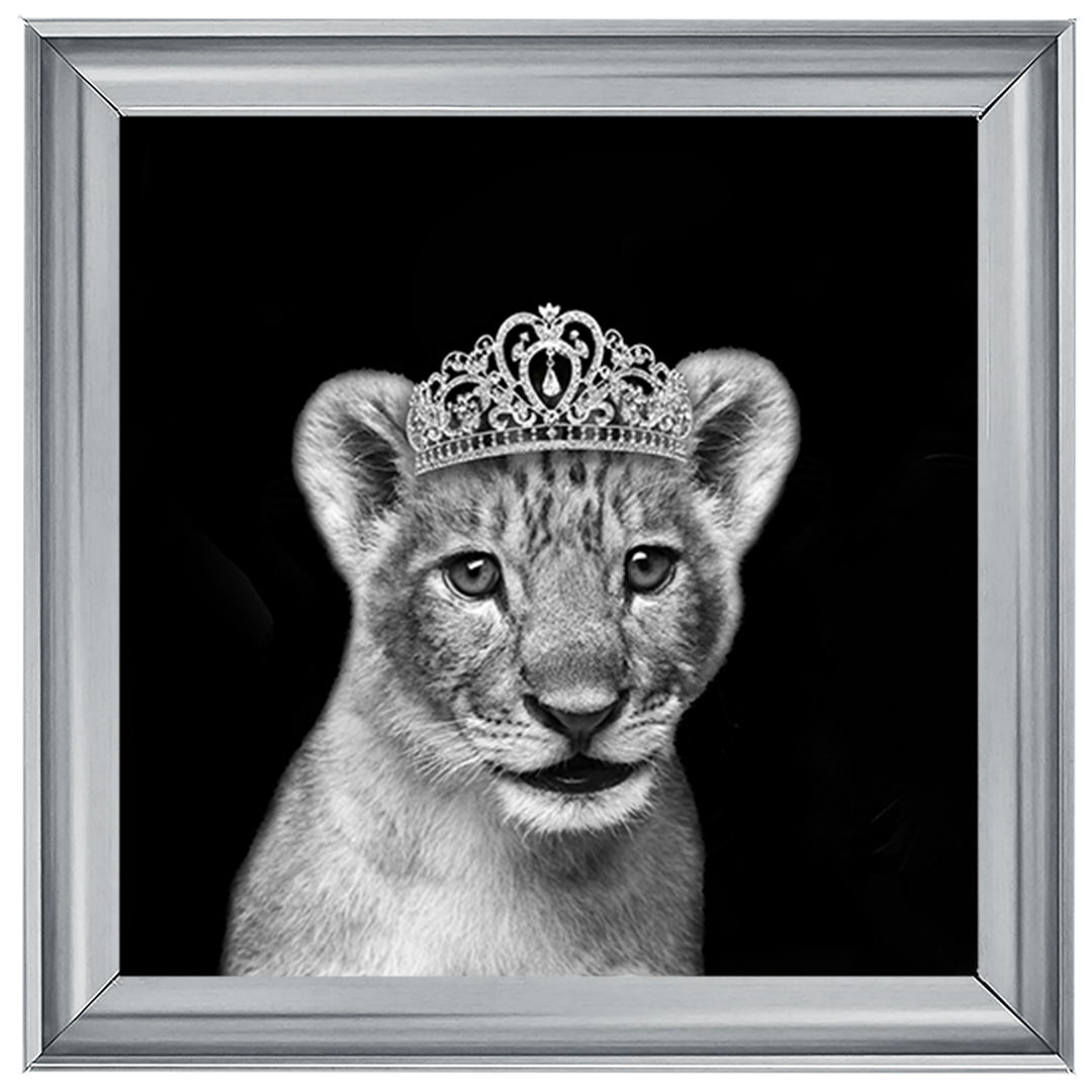 Princess Cub Silver