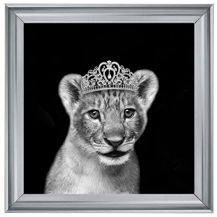 Princess Cub Silver