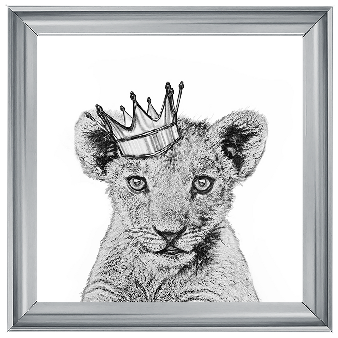 Prince Cub