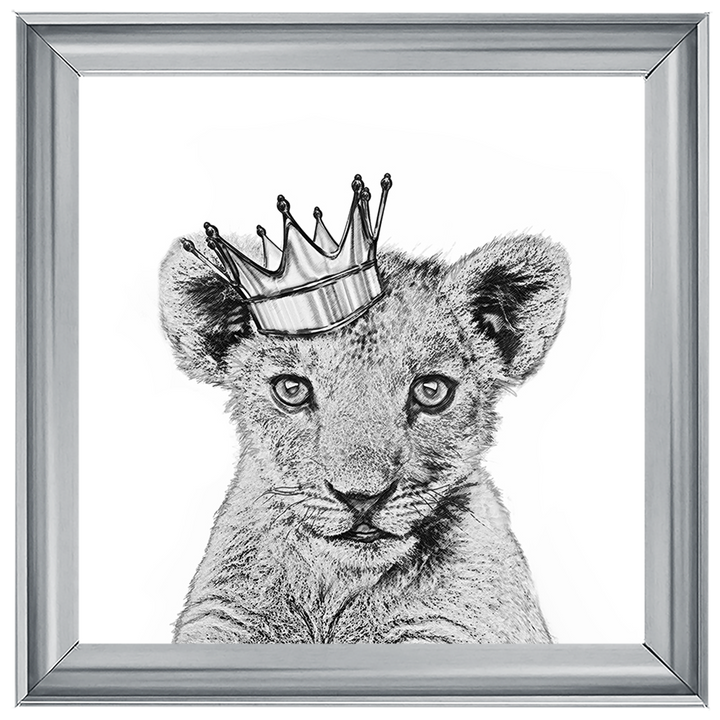 Prince Cub