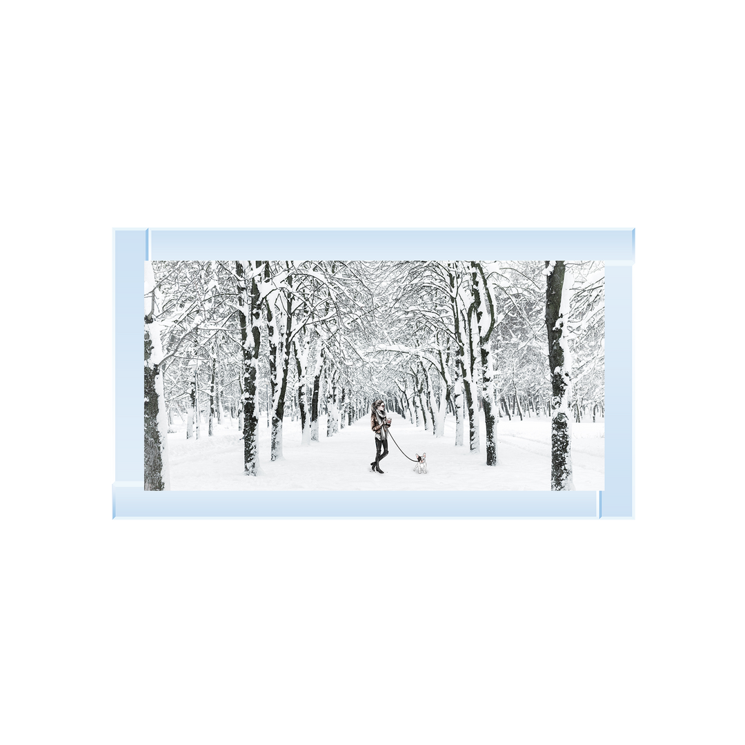Winter Walk