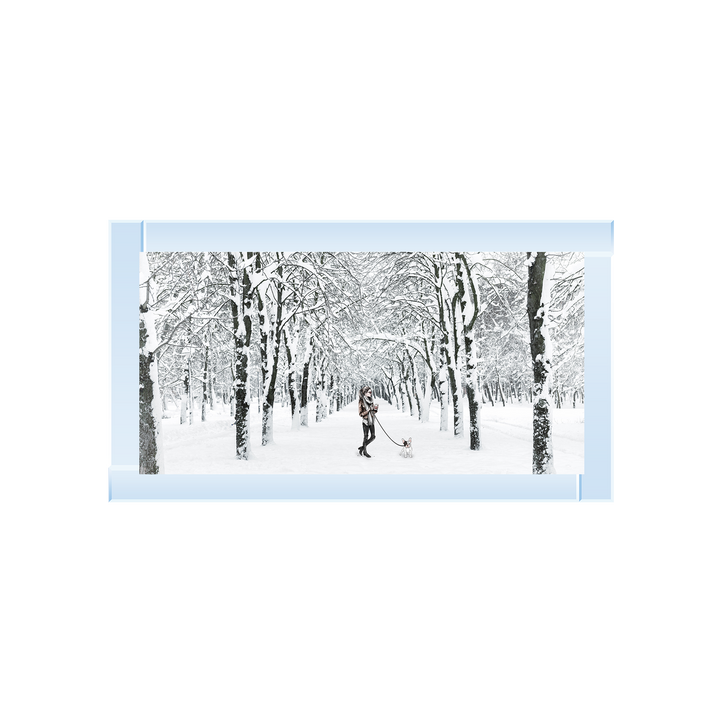 Winter Walk